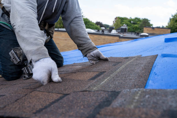 Best Roof Gutter Cleaning  in Temple Hills, MD