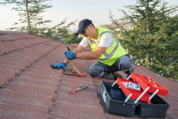 Best Roof Gutter Cleaning  in Temple Hills, MD